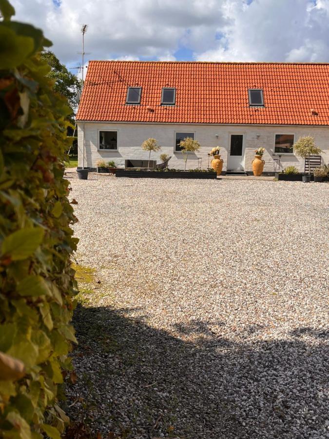 רודביג Munkgaard Inn & Outdoor מראה חיצוני תמונה