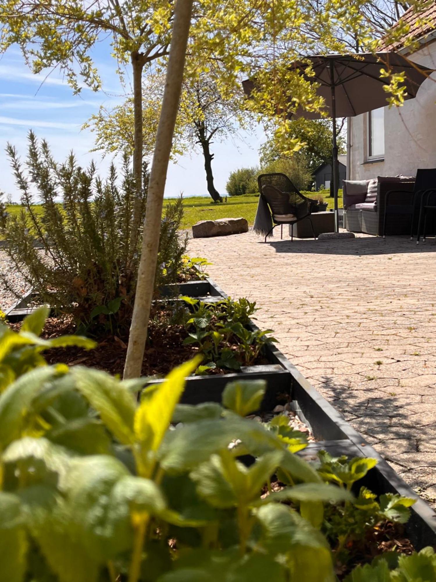 רודביג Munkgaard Inn & Outdoor מראה חיצוני תמונה