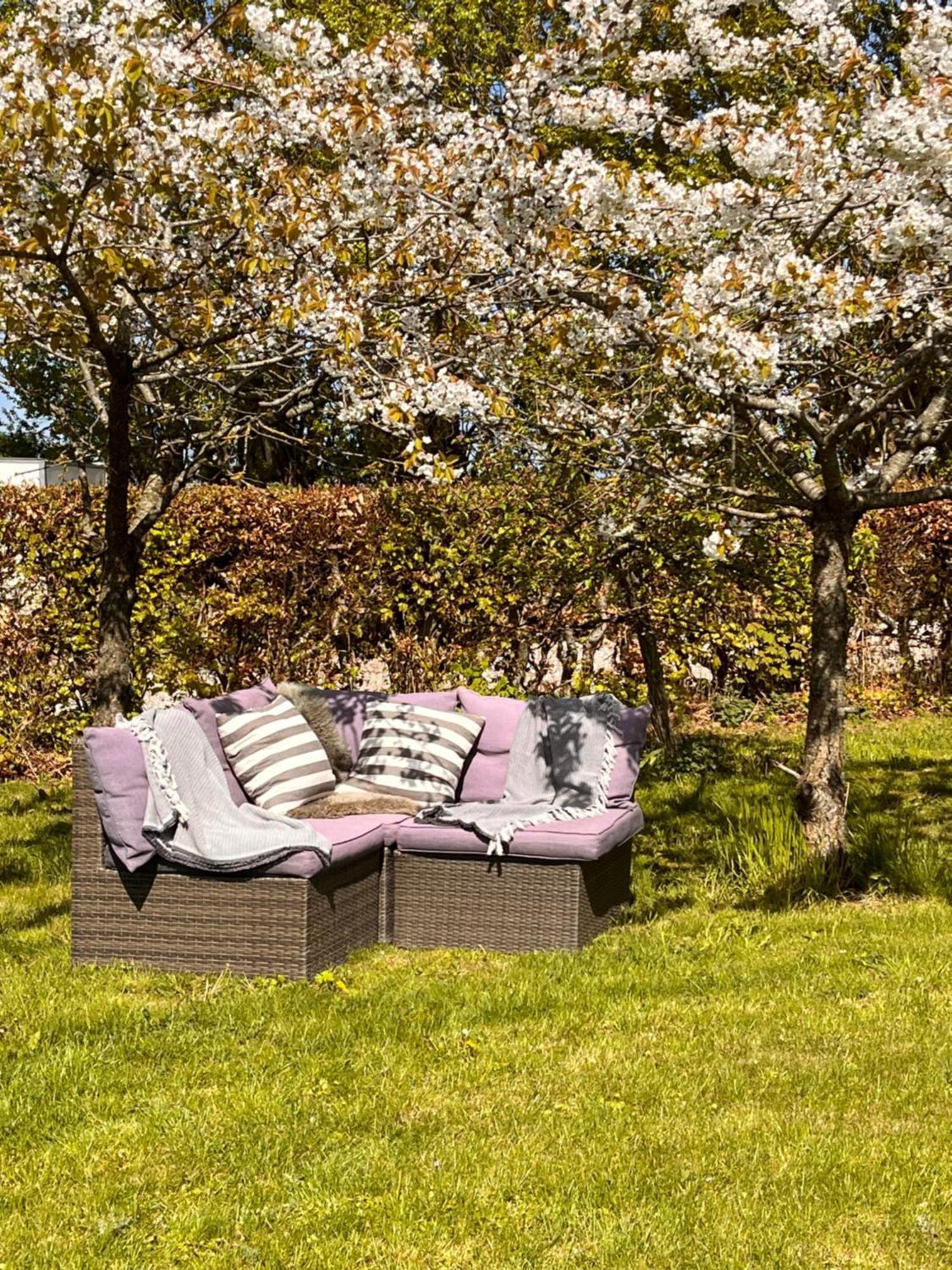 רודביג Munkgaard Inn & Outdoor מראה חיצוני תמונה